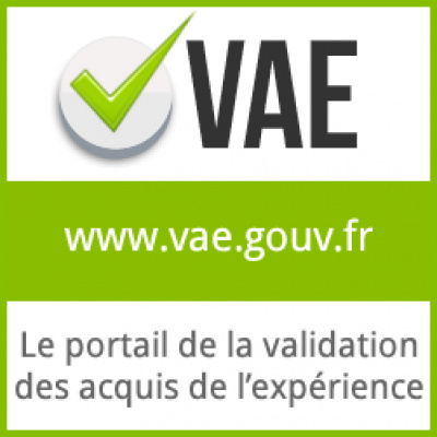 www.vae.gouv.fr